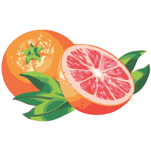 Grapefruit PNG-15255